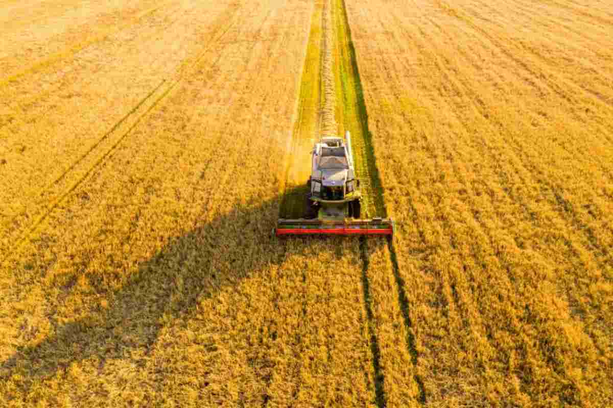 Bonus Agricoltura, chi può averlo