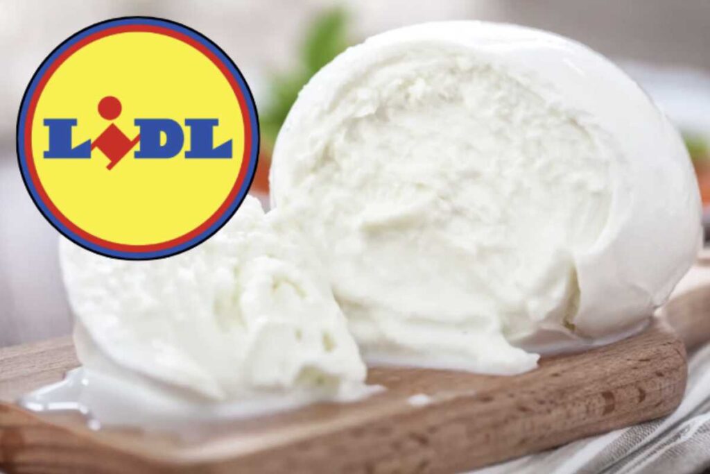 LIDL, in particolare, ha guadagnato una notevole popolarità in Italia e in Europa grazie alle sue offerte competitive e alla promessa di qualità a prezzi